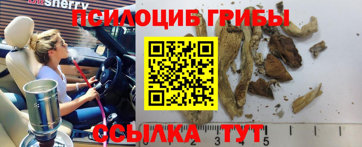 Галлюциногенные грибы мицелий  Вход с VPN  Галлюциногенные грибы Cubensis  Клин 